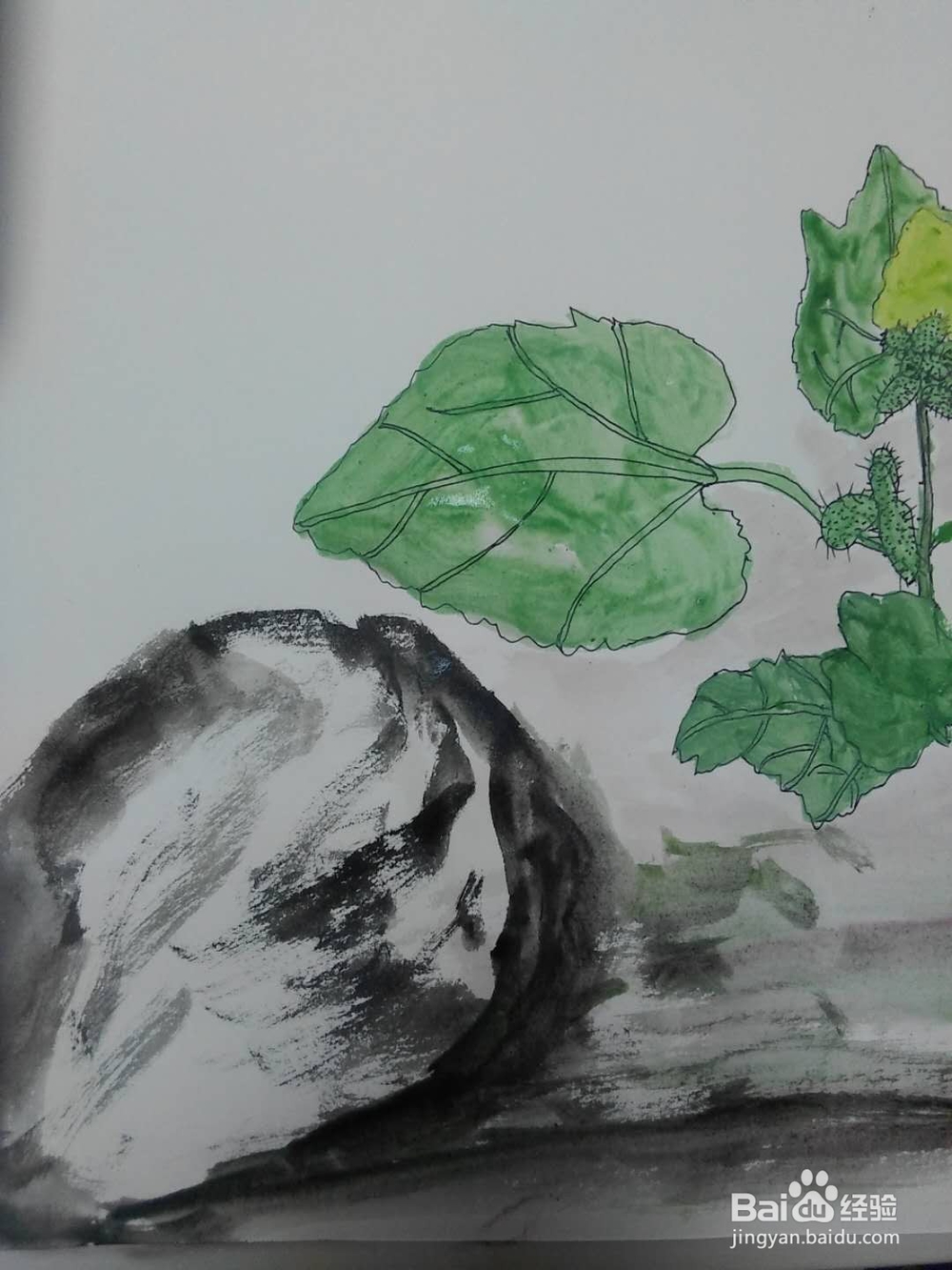 呆耳的水彩画法