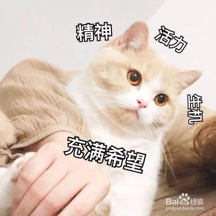 怎么维持融洽的同事关系