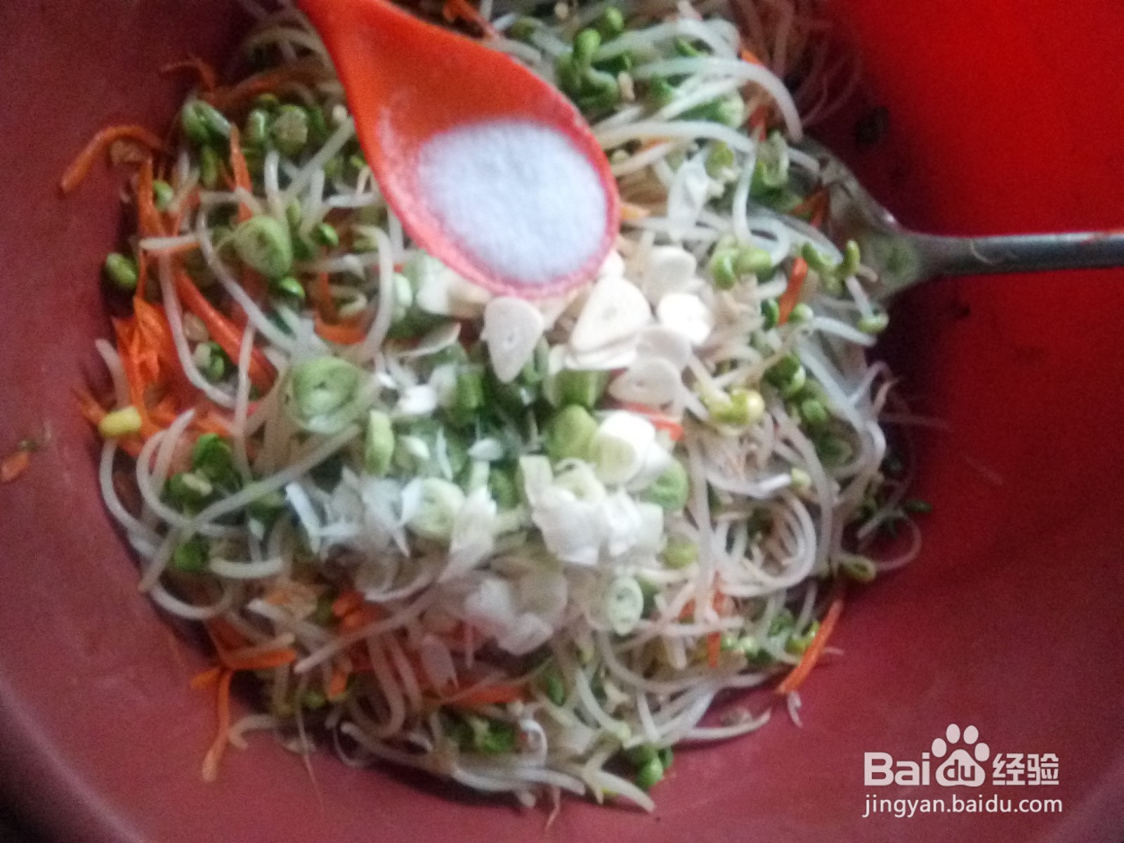 凉拌菜胡萝卜丝拌豆芽