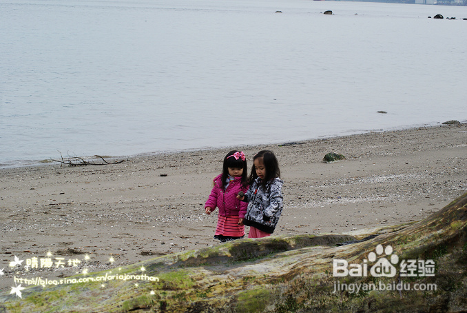 拾海的孩子&亲亲小动物(组图)