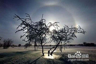 书到用时方恨少！东北雪乡之旅