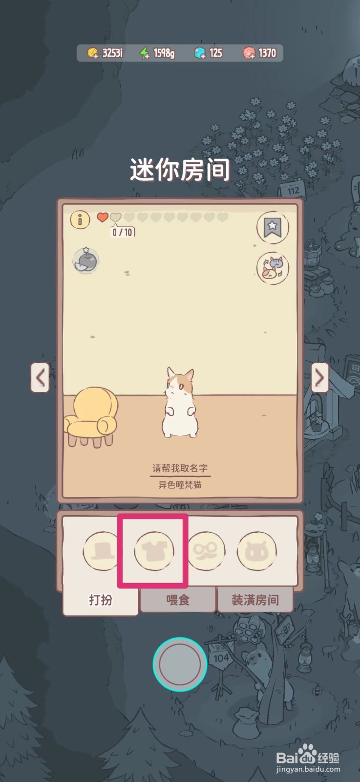 猫咪和汤怎么给猫咪穿观星者的衣服