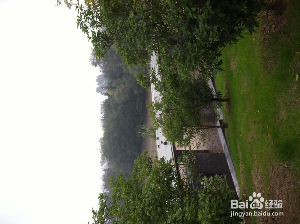 如何在冬季进行早锻炼，让心情愉悦