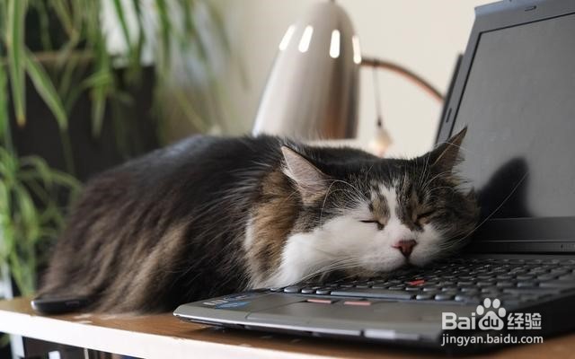 老公喜欢玩游戏不理我怎么办