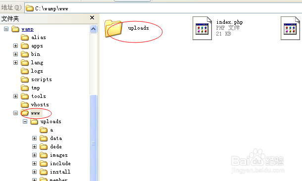 dede怎么安装网站模板？以本地建站为例