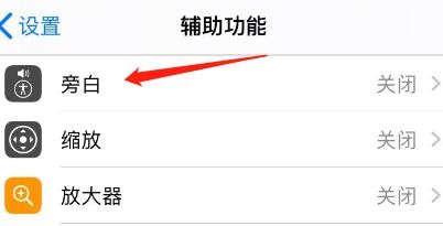 已连接盲文显示器的旁白声音怎么设置