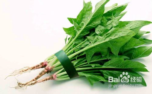 秋季通便减肥食谱
