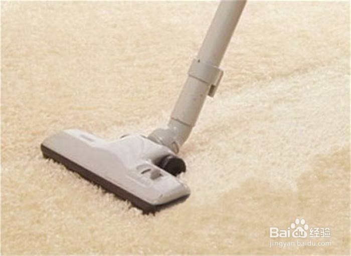 怎样清洗地毯上的打印机墨水