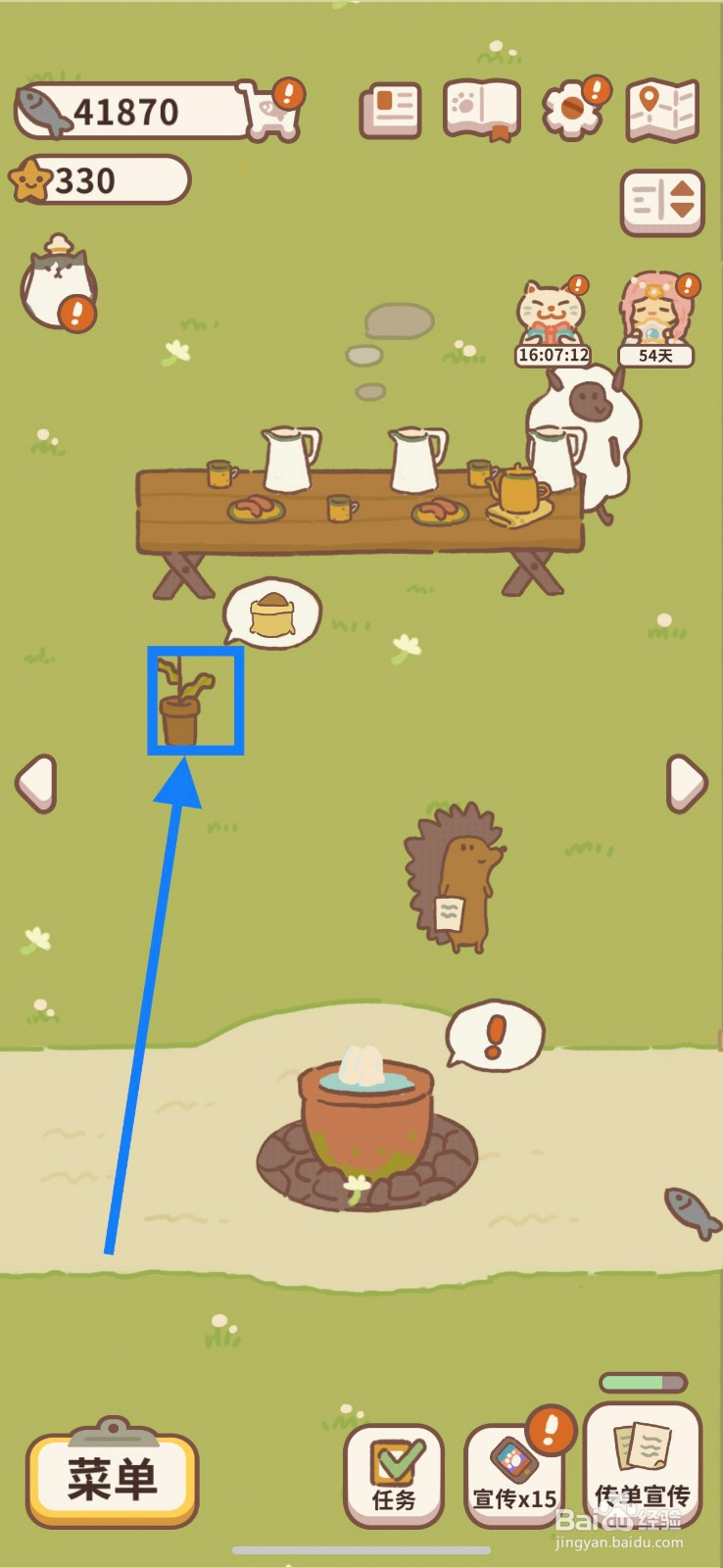 动物餐厅如何在花园培育小雏菊？