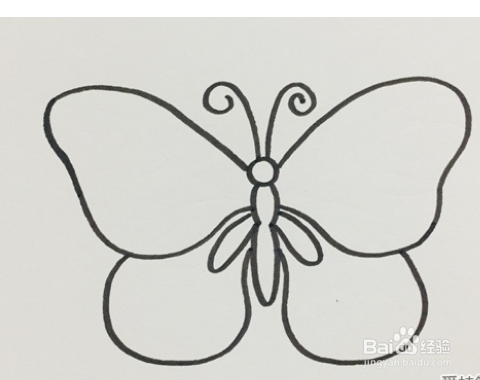 怎么画蝴蝶好看