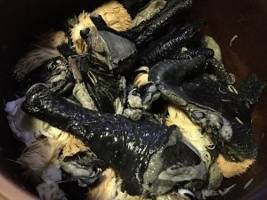教你怎么做猴头菇炖乌鸡