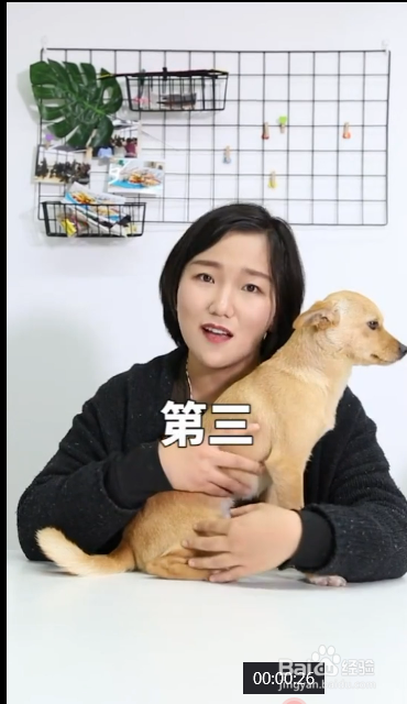 造成狗狗吃便便的原因