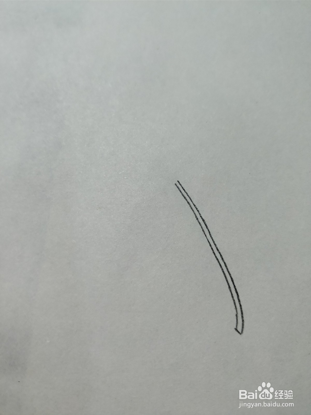 简笔画枫叶怎么画