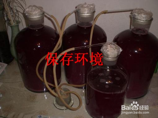 自酿葡萄酒怎么保存