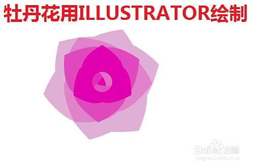 牡丹花如何用illustrator绘制 百度经验