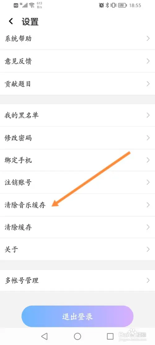 虚拟恋人在哪清除音乐缓存