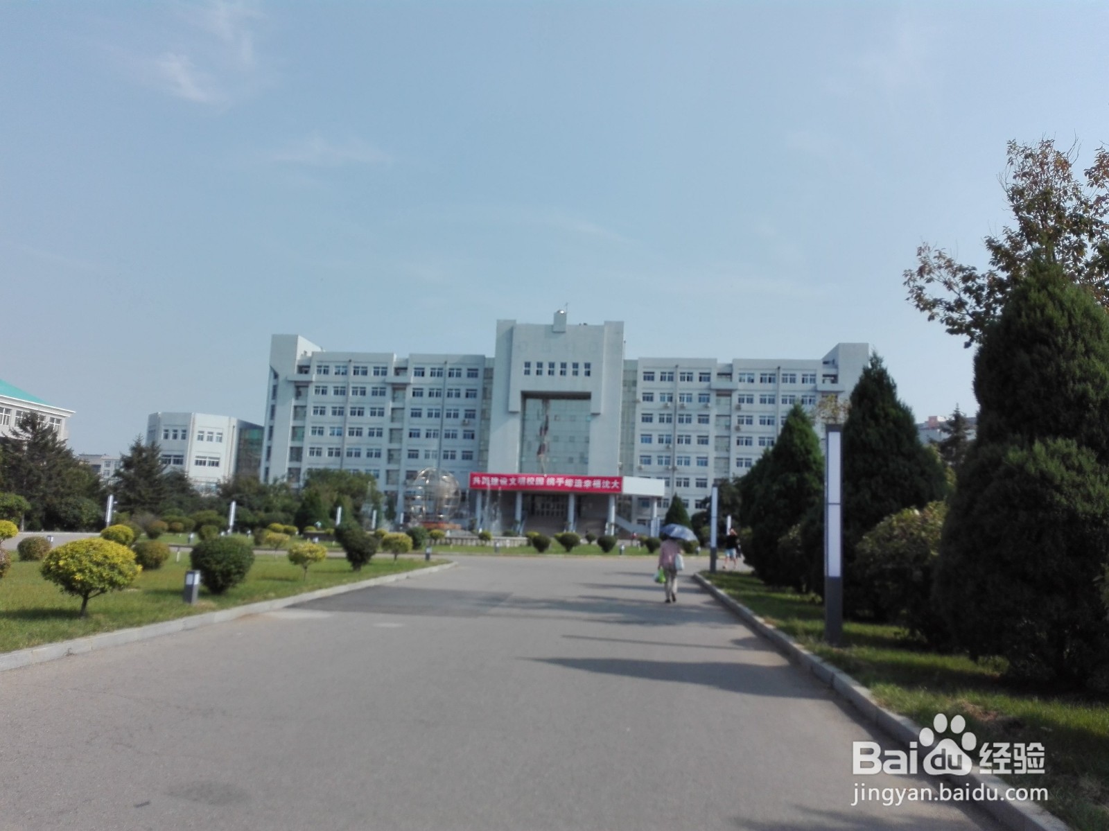 沈阳大学校园猫怎么寻找#校内游玩攻略#