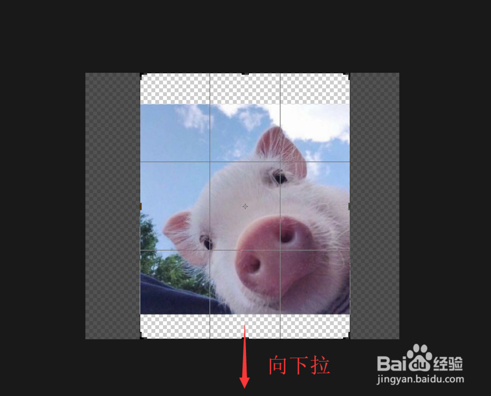 ps怎样快速调整画布大小