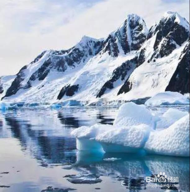 PS：多重曝光北极熊