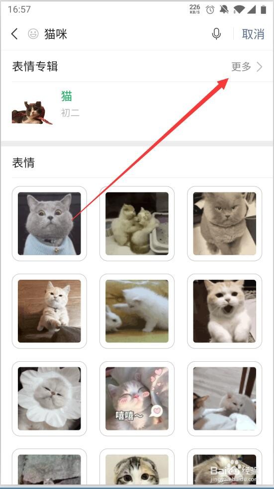微信如何获得猫咪表情包