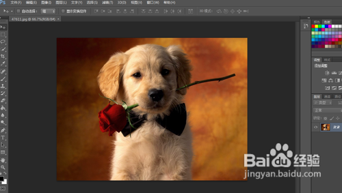 Photoshop制作图片水印的半透明背景教程