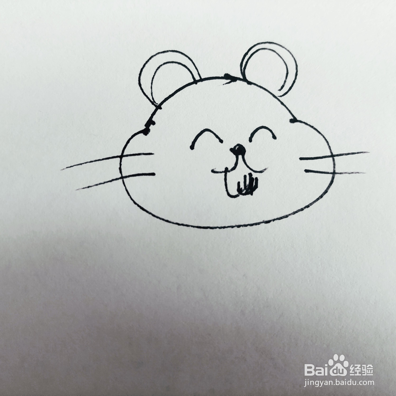 如何来画一只卡通胖嘟嘟的老鼠简笔画呢