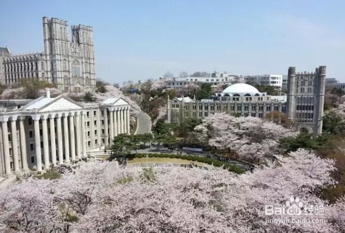 韩国十大美丽大学