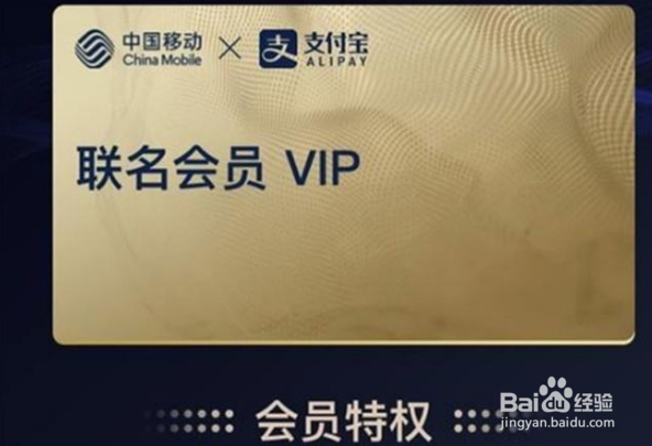 支付宝支付如何领流量