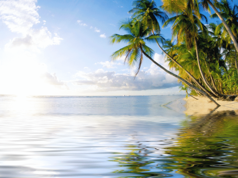 电脑桌面背景设置的方法与技巧