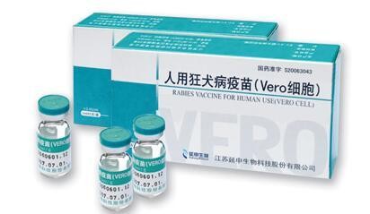 被狗咬了该怎么办?