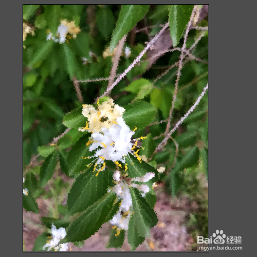 如何通过ps给图片的图像增加喷溅效果