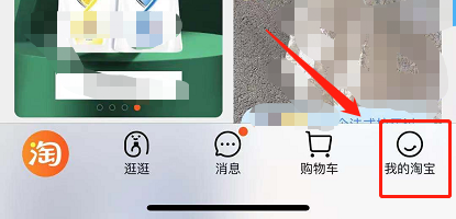淘宝怎么查看月度账单