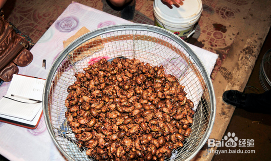 知了猴怎么保存