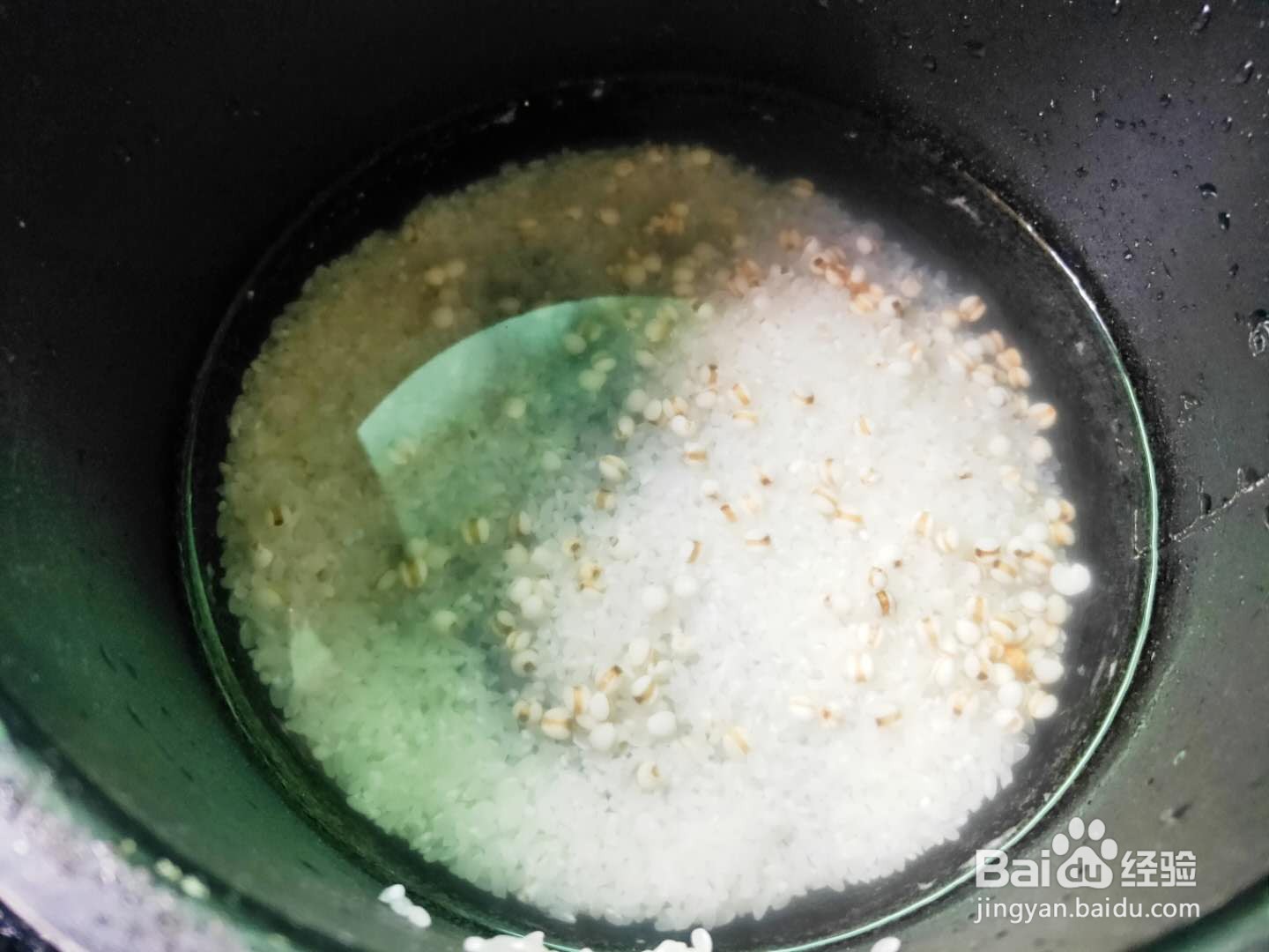 冬瓜薏仁粥---养生系列