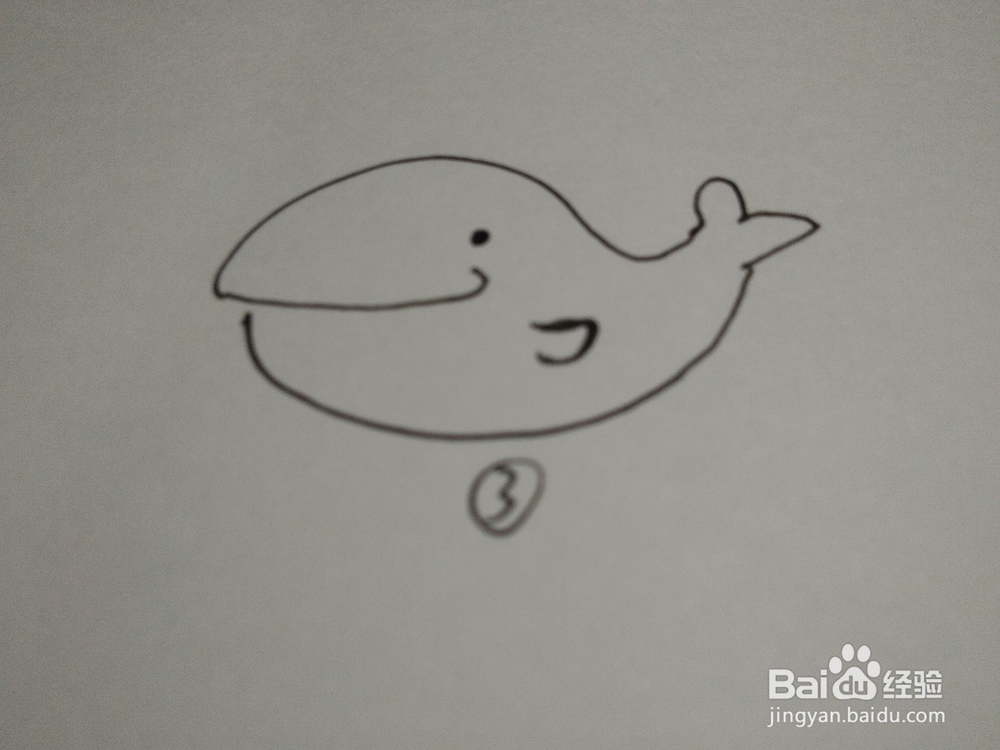 教宝宝画简笔画，海豚