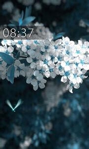 手机锁屏大集锦