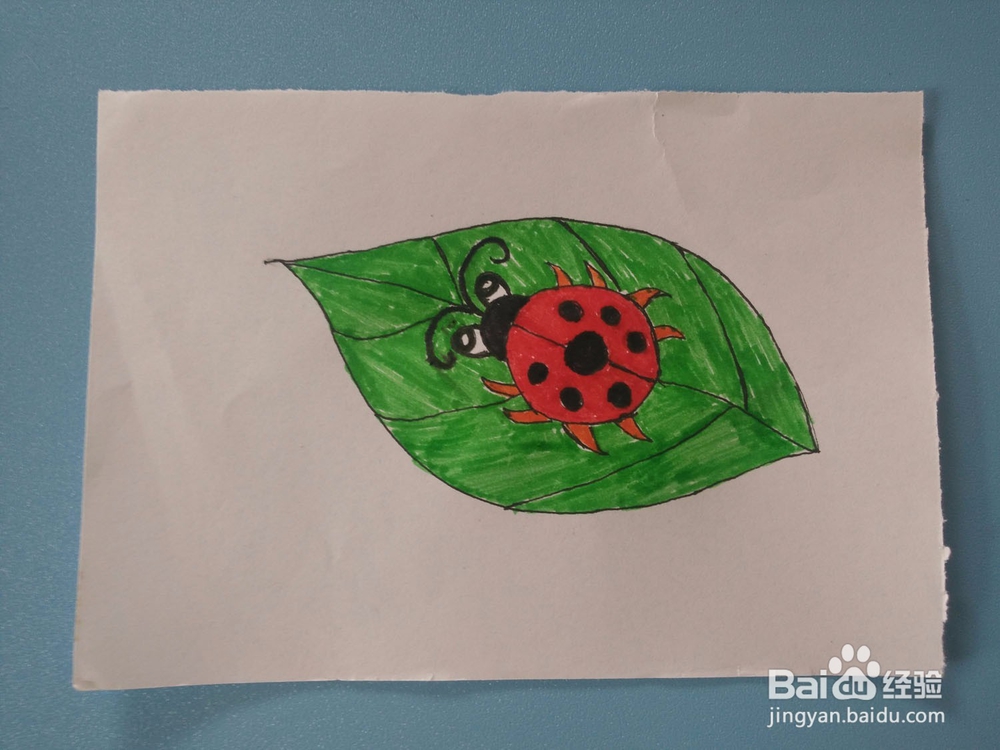 <b>儿童画七星瓢虫的画法</b>