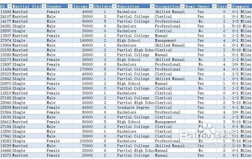 【Excel数据挖掘】数据挖掘第一步查看数据方法