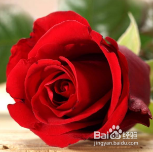 怎样的装修才算是成功的