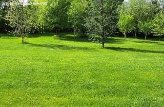 感到孤独的你应该怎么办