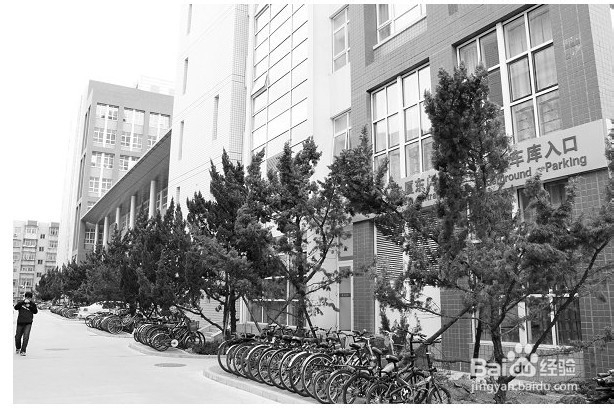 首页 中国石油大学（北京）之校园概况新生指南