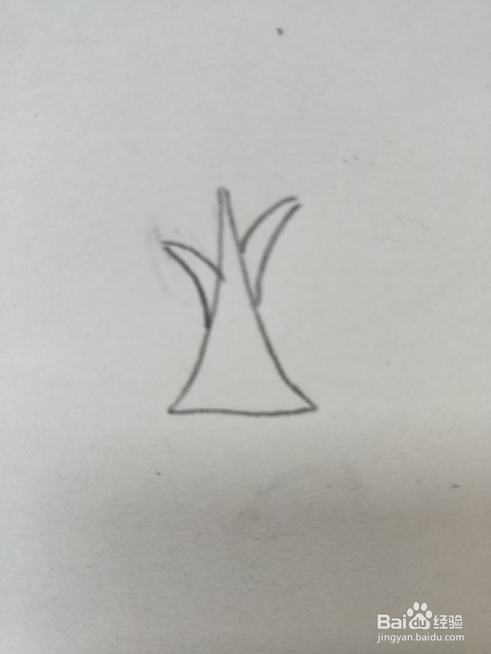 苹果树的简笔画教程