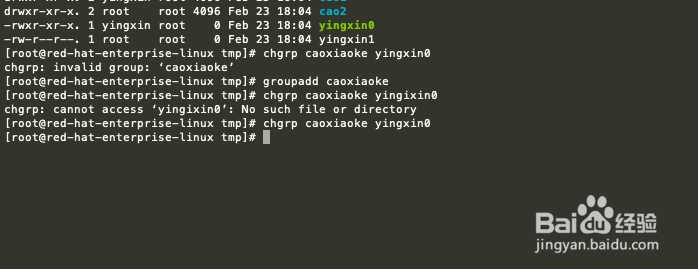 Linux如何使用chgrp命令