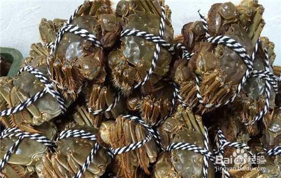 新鲜大闸蟹保存方法