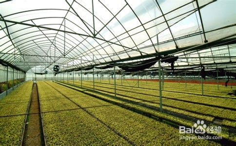 农业用地如何使用