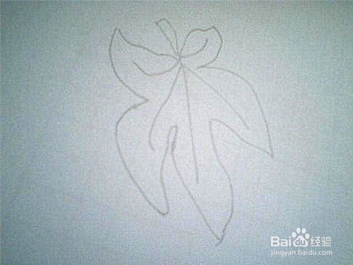 简笔画枫叶的画法
