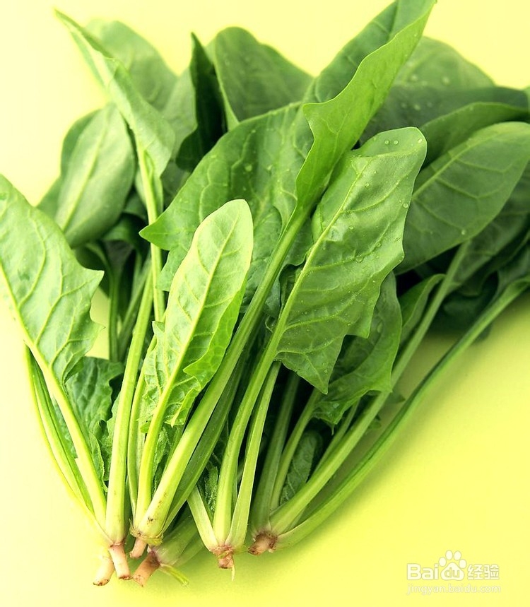 常吃菠菜对人体有啥好处