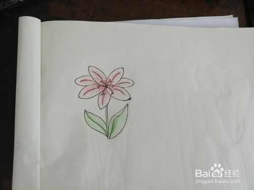 儿童绘画 如何画素雅的小花 百度经验