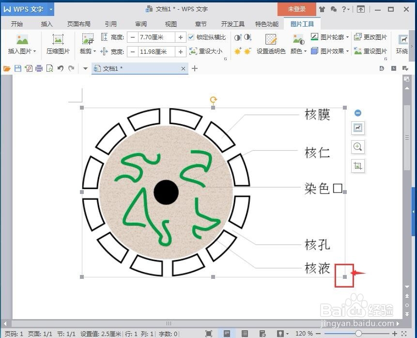 在wps文字中插入在线图片的方法