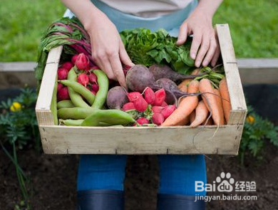 怎么减肥才有效果呢？